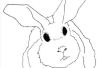 Hoe teken je konijnen