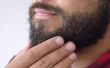 Hoe te voorkomen dat grijze haren op een baard