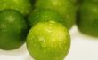 Hoe onderhoudt een dwerg Key Lime Tree van Bugs
