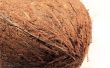 Hulpmiddelen voor het snijden van kokosnoot schelpen