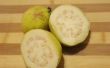 How to Make Guava sap thuis