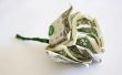Hoe maak je bloemen uit dollarbiljetten