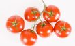 Hoe om te voorkomen dat vogels eten uw tomatenplanten