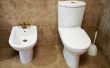 Hoe schoon en verwijderen mangaan van de wc-pot