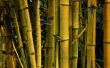 Hulpmiddelen voor het werken met bamboe