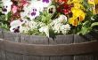 Het rangschikken van bloemen in een wijn vat Planter
