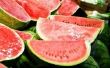 Wanneer en How to Plant watermeloenen