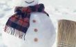 How to Build een Frosty de sneeuwpop Parade Float