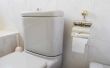 Waarom loodgieters zeggen Pour steenzout in uw Toilet?