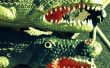 Hoe maak je een Alligator-masker