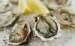 How to Make Oyster Stew met behulp van ingeblikte oesters