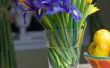 Hoe lang gesneden Iris bloemen laatst?