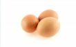 Hoe lang aan de kook een dozijn eieren?