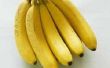 Hoe lange dosis duurt voor een banaan aan Ripen?