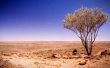 Het klimaat in de Australische Outback