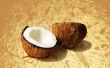 How to Make Room van de kokosnoot van kokosmelk voor Pina Coladas