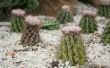 Hoe maak je een Cactus voor een Diorama