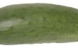 Hoe overrijpe komkommer augurk