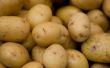 Zelfgemaakte aardappel van organische meststof