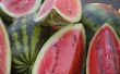 How to Grow watermeloenen in Houston, Texas