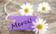 Hoe om te zeggen "Thank You" in het Frans