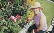 Onkruid & gras-Killers die veilig zijn voor bloembedden