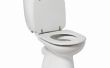 How to Convert een Toilet naar een urinoir