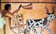 Het dagelijks leven van de oude Egyptische landbouwers
