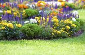 Hoe om te voorkomen dat gras groeit in bloembedden
