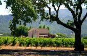 Het plannen van een reis naar de Napa Valley wijngaarden