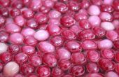 Hoe te verzachten gedroogde Cranberries