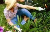 Hoe tuin met thomasslakkenmeel