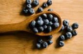 Hoe te bevriezen Blueberry saus