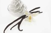 Wat Is het verschil tussen vanille boon & regelmatige vanille-ijs?