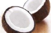 Kokosolie voor baby 's