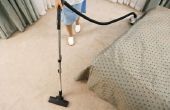 PH niveaus van Carpet Cleaners