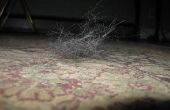 Hoe te verwijderen van Pet Hair uit tapijt