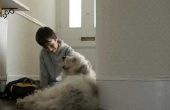 How to Teach autistische kinderen te gedragen rond honden