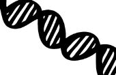 DNA projectideeën voor High School