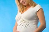 Maryland zwangerschaps-en bevallingsverlof beleid