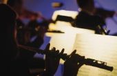 Het verschil tussen een Wind Ensemble en Symphonic Winds