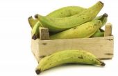 How to Cook Matoke ("plantains") de Oegandese manier