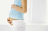 Tekenen & symptomen van zwangerschap 7 dagen na de eisprong