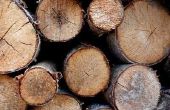 How to Cut & Cure Pine Logs