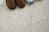 Hoe om te controleren op vlooien op een tapijt