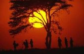 Het leven van mensen in de Afrikaanse savanne