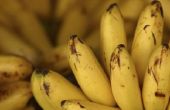 Hoe bananen om vers te houden langer
