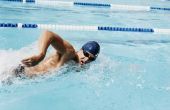 Hoe te doen vrije slag zwemmen