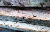 De behandeling van het hout om te voorkomen dat splitsen