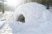 How to Build een sneeuw Fort dak